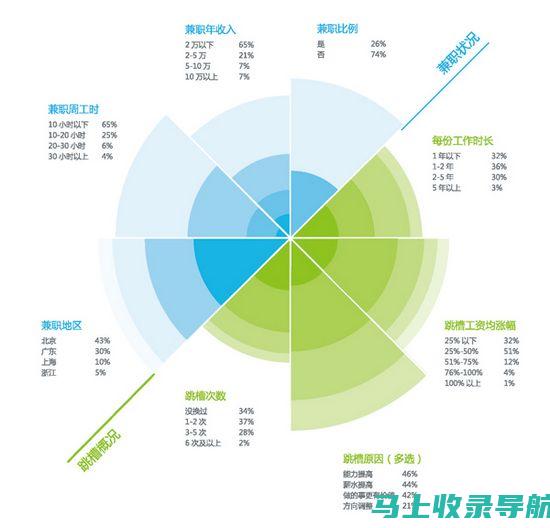 站长职业金字塔：级别划分与职业发展轨迹解析